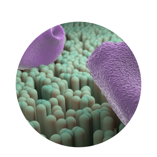 allergic reactions treatments urgent care