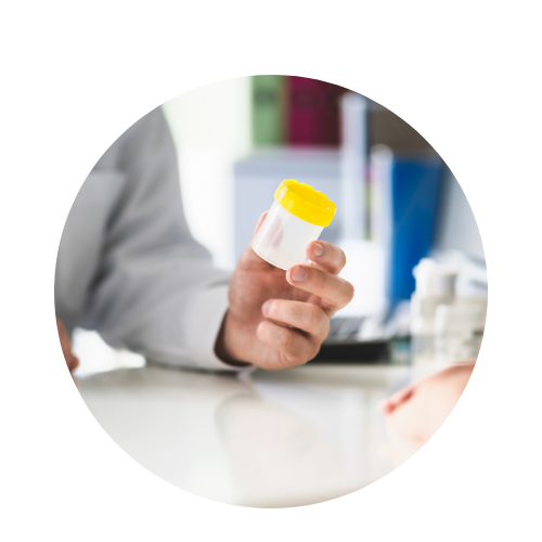 11 panel urine drug screening